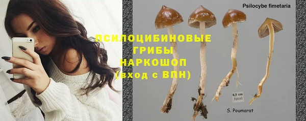 дживик Семилуки