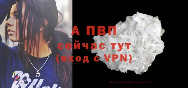 стафф Семикаракорск