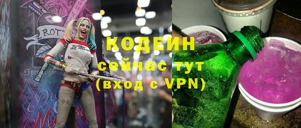 дживик Семилуки