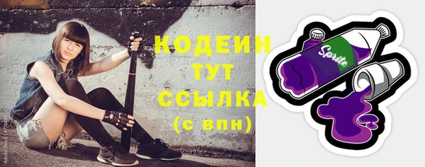 дживик Семилуки