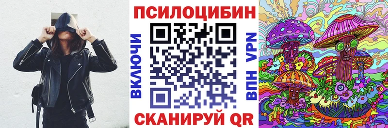 как найти закладки Александров Псилоцибиновые грибы мицелий