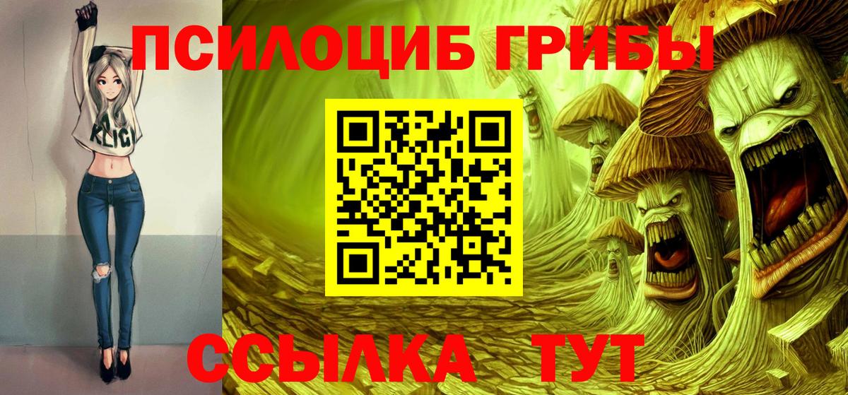 Псилоцибиновые грибы GOLDEN TEACHER  Галлюциногенные грибы мицелий  Вход с VPN  Александров 
