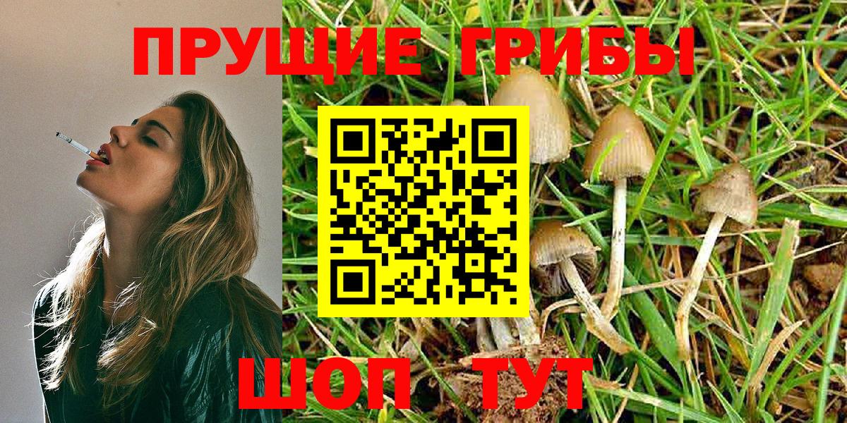 Галлюциногенные грибы GOLDEN TEACHER Александров
