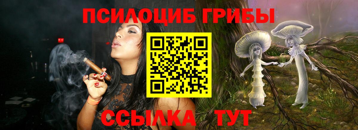 Псилоцибиновые грибы GOLDEN TEACHER  сколько стоит  Александров 